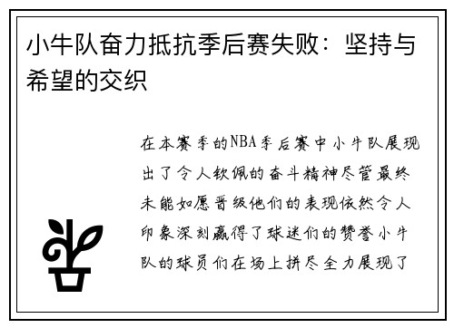 小牛队奋力抵抗季后赛失败：坚持与希望的交织